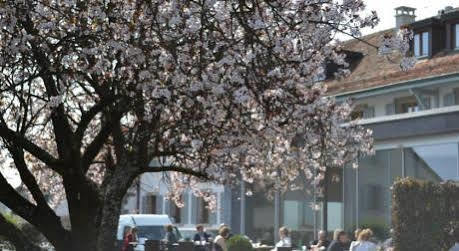 Auberge De Confignon Geneva Exterior photo